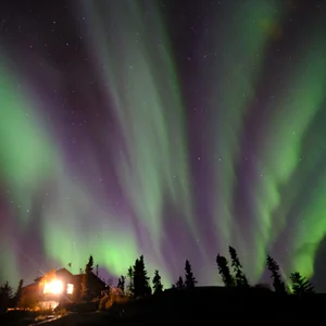 プロフィール画像：nameko911