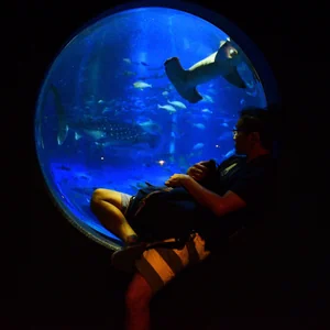 プロフィール画像：ツチモン