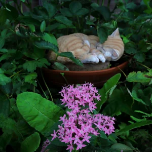 プロフィール画像：Taka-k