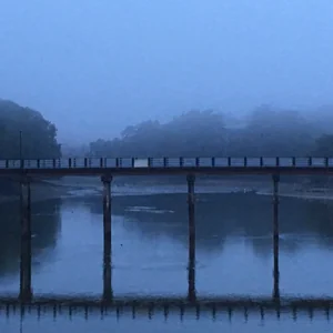 プロフィール画像：saeko