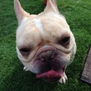 プロフィール画像：新発見！絶景北海道