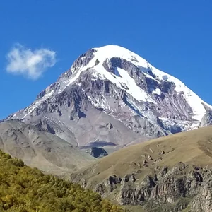 プロフィール画像：moriseiwitsch