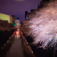 プロフィール画像：どなきち