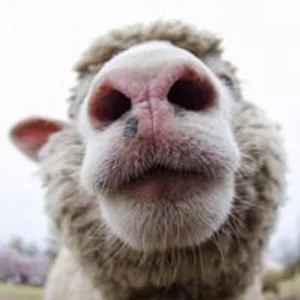 プロフィール画像：Rabii!!!