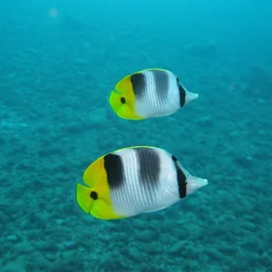 プロフィール画像：Shinichiro Maki