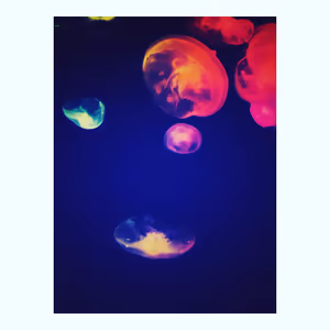 プロフィール画像：tama3