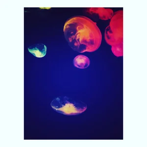 プロフィール画像：tama3