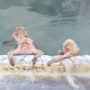 プロフィール画像：yumaiharu