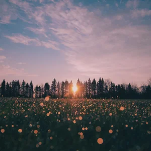 プロフィール画像：おぐ