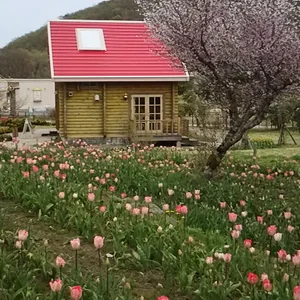 プロフィール画像：hikaru