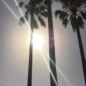 プロフィール画像：keizo.moto