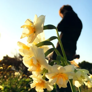 プロフィール画像：CHIRICO