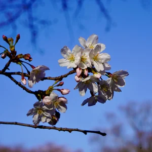 プロフィール画像：keisuke suda