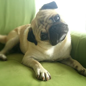 プロフィール画像：さと