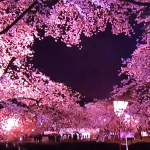 プロフィール画像：Naomi Miyata