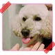 プロフィール画像：tomi.t