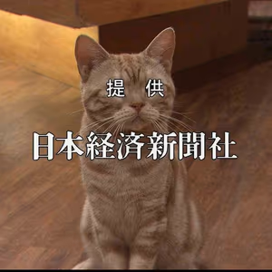 プロフィール画像：pashike