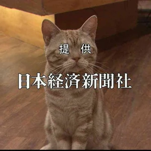 プロフィール画像：pashike