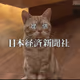 プロフィール画像：pashike