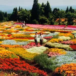 プロフィール画像：mmokamm