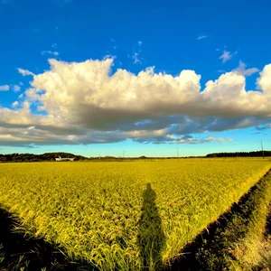 プロフィール画像：豊美🌟とよみ