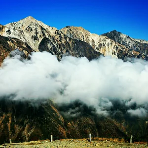 プロフィール画像：渋谷義彦