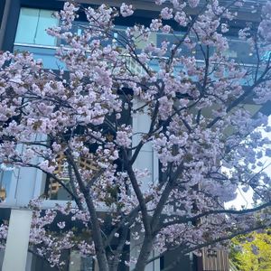 プロフィール画像：fee