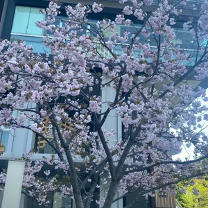 プロフィール画像：fee