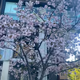 プロフィール画像：fee