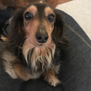 プロフィール画像：ぺと