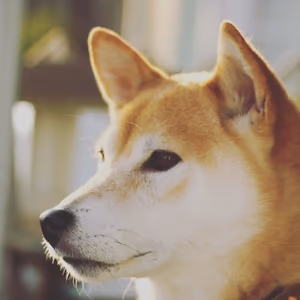 プロフィール画像：Daisuke
