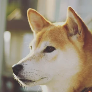 プロフィール画像：Daisuke