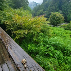 プロフィール画像：αFinder