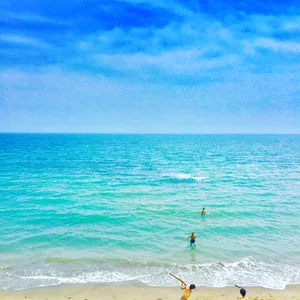 プロフィール画像：shi