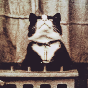 プロフィール画像：sietemares_1984