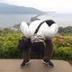 プロフィール画像：しんしん