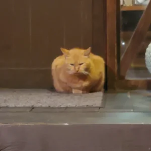 プロフィール画像：Mugichan