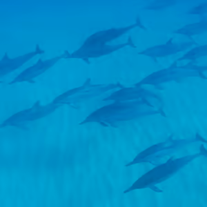 プロフィール画像：旅好き
