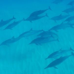 プロフィール画像：旅好き