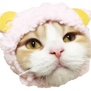 プロフィール画像：YouTube猫とトキ