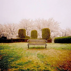 プロフィール画像：塚田 裕之