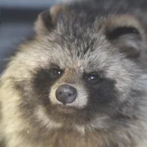 プロフィール画像：星明宏