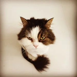 プロフィール画像：fxdb2013