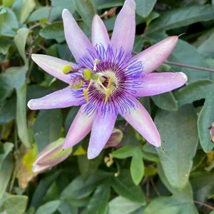 プロフィール画像：かむらひろ