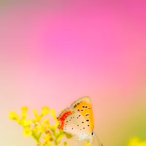 プロフィール画像：川名 勉