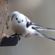 プロフィール画像：TOTI_t