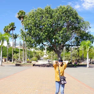 プロフィール画像：yukinnk07