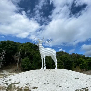 プロフィール画像：@om.rice19