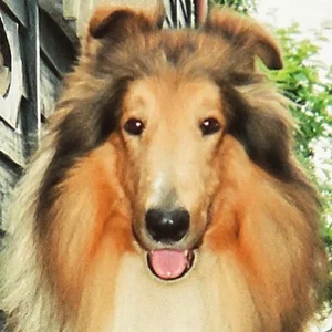 プロフィール画像：大坪賢護