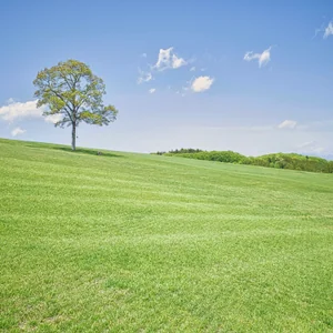 プロフィール画像：shin.com